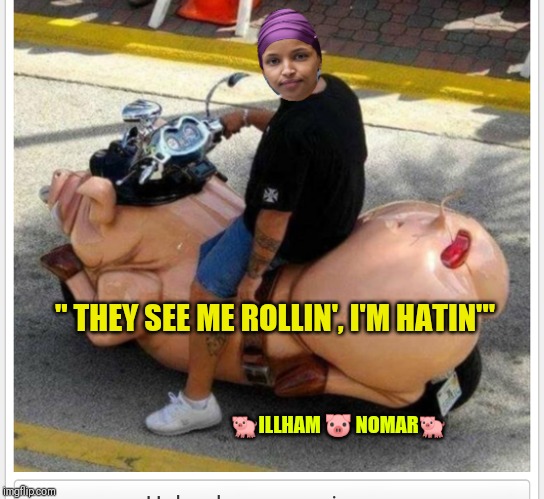 Ilhan omar | " THEY SEE ME ROLLIN', I'M HATIN'"; 🐖ILLHAM 🐷 NOMAR🐖 | image tagged in ilhan omar | made w/ Imgflip meme maker