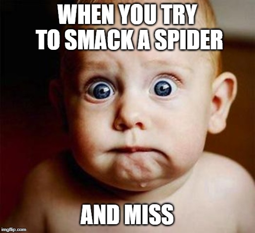 scared baby | WHEN YOU TRY TO SMACK A SPIDER; AND MISS | image tagged in scared baby | made w/ Imgflip meme maker
