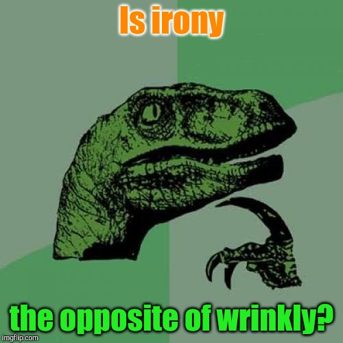 Well? | Is irony; the opposite of wrinkly? | image tagged in memes,philosoraptor | made w/ Imgflip meme maker