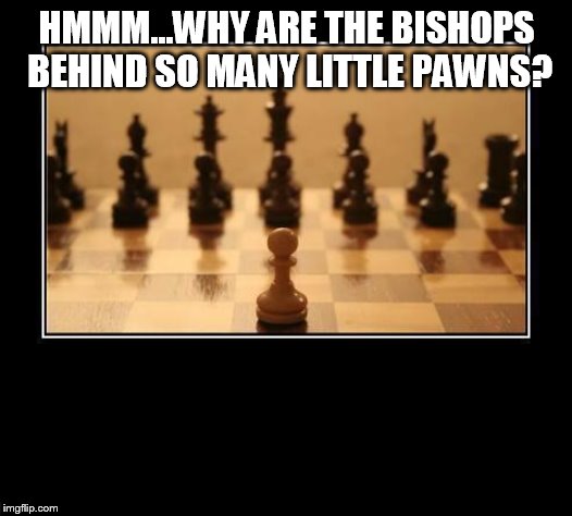 Chess | HMMM...WHY ARE THE BISHOPS BEHIND SO MANY LITTLE PAWNS? | image tagged in chess | made w/ Imgflip meme maker