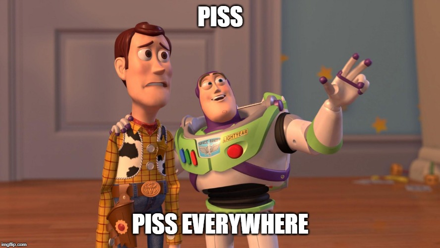 Woody and Buzz Lightyear Everywhere Widescreen | PISS; PISS EVERYWHERE | image tagged in woody and buzz lightyear everywhere widescreen,AdviceAnimals | made w/ Imgflip meme maker