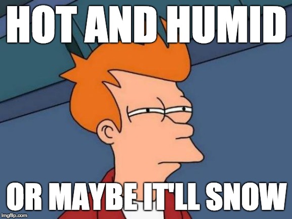 Futurama Fry Meme | HOT AND HUMID; OR MAYBE IT'LL SNOW | image tagged in memes,futurama fry | made w/ Imgflip meme maker