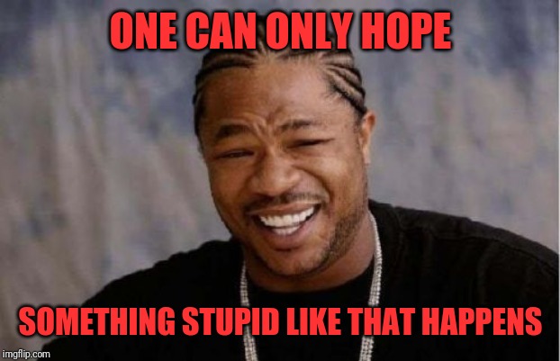 Yo Dawg Heard You Meme | ONE CAN ONLY HOPE SOMETHING STUPID LIKE THAT HAPPENS | image tagged in memes,yo dawg heard you | made w/ Imgflip meme maker