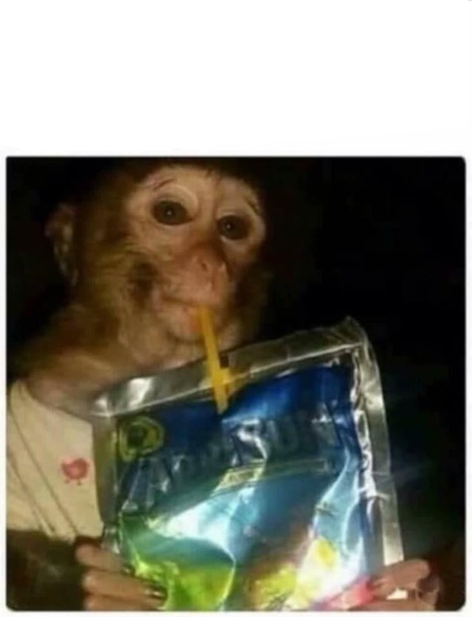 High Quality Skeptical Monkey Kid with Capri Sun Blank Meme Template