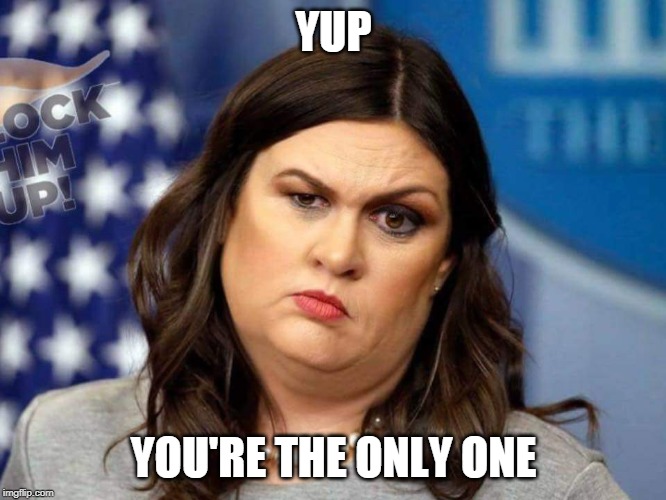 Sarah Sanders  | YUP; YOU'RE THE ONLY ONE | image tagged in sarah sanders | made w/ Imgflip meme maker