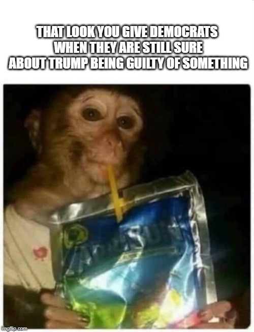 That look you give when.. | THAT LOOK YOU GIVE DEMOCRATS WHEN THEY ARE STILL SURE ABOUT TRUMP BEING GUILTY OF SOMETHING | image tagged in skeptical monkey kid with capri sun,democrats,trump,guilty,robert mueller | made w/ Imgflip meme maker