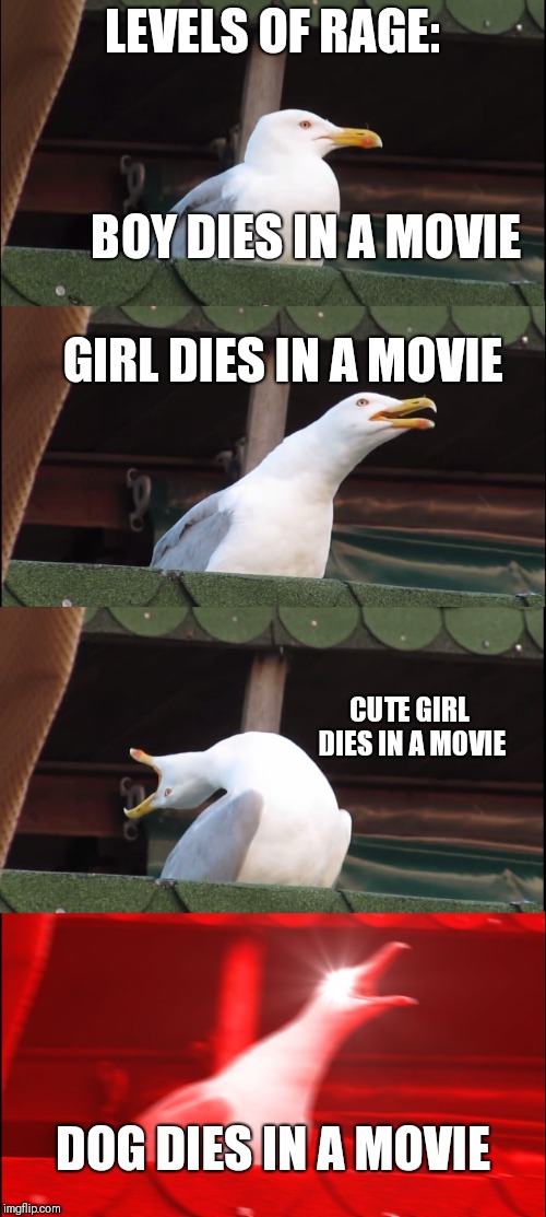 Inhaling Seagull Meme | LEVELS OF RAGE:; BOY DIES IN A MOVIE; GIRL DIES IN A MOVIE; CUTE GIRL DIES IN A MOVIE; DOG DIES IN A MOVIE | image tagged in memes,inhaling seagull | made w/ Imgflip meme maker