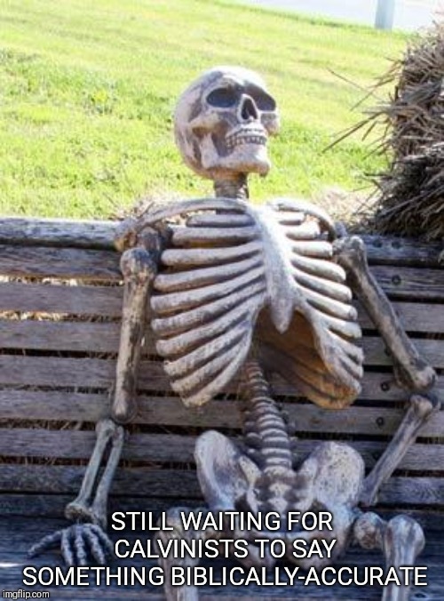 Waiting Skeleton Meme | STILL WAITING FOR CALVINISTS TO SAY SOMETHING BIBLICALLY-ACCURATE | image tagged in memes,waiting skeleton | made w/ Imgflip meme maker