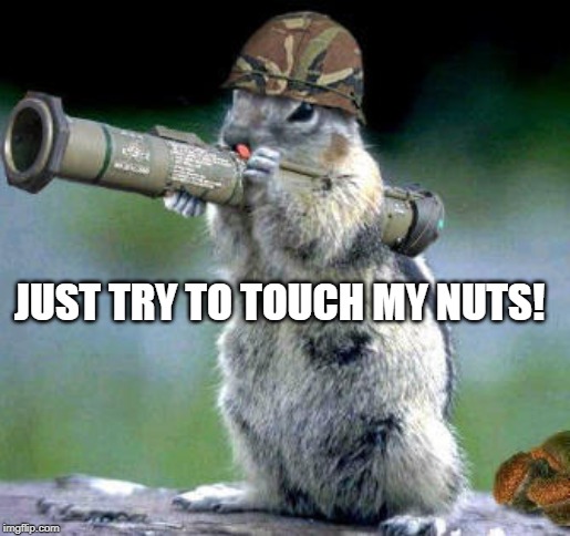 Bazooka Squirrel | JUST TRY TO TOUCH MY NUTS! | image tagged in memes,bazooka squirrel | made w/ Imgflip meme maker