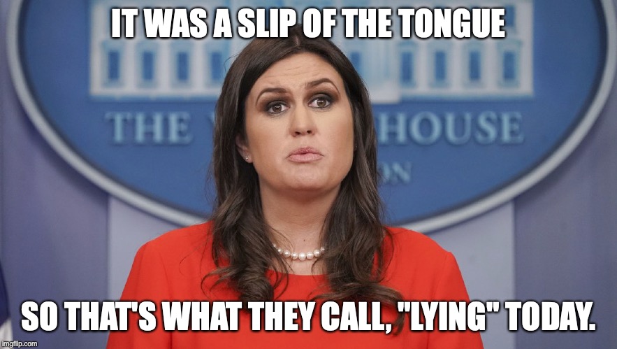 Sarah Sanders lost | IT WAS A SLIP OF THE TONGUE; SO THAT'S WHAT THEY CALL, "LYING" TODAY. | image tagged in sarah sanders lost | made w/ Imgflip meme maker