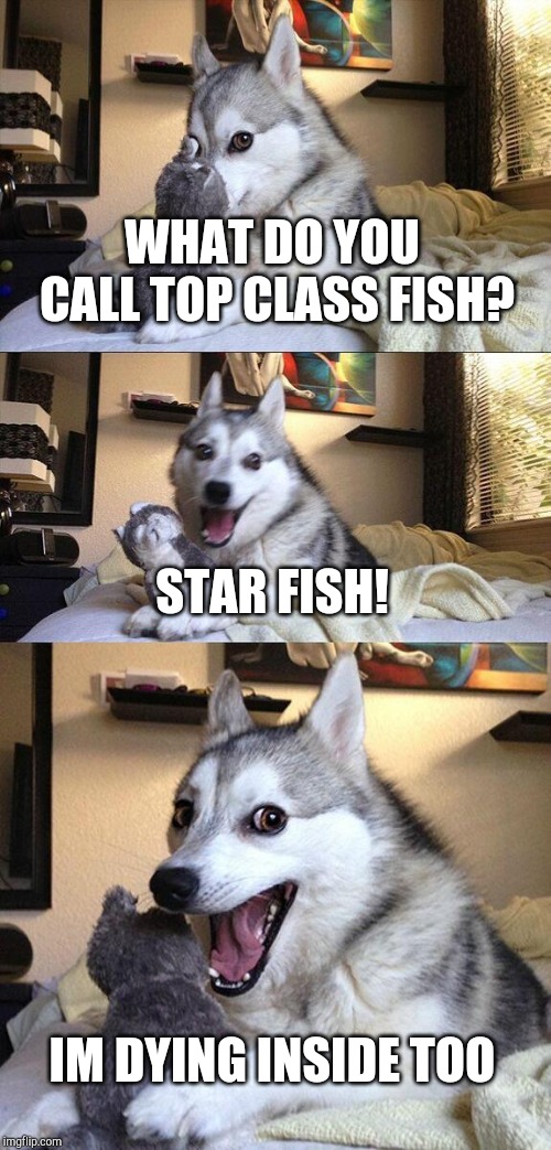 Bad Pun Dog | WHAT DO YOU CALL TOP CLASS FISH? STAR FISH! IM DYING INSIDE TOO | image tagged in memes,bad pun dog | made w/ Imgflip meme maker