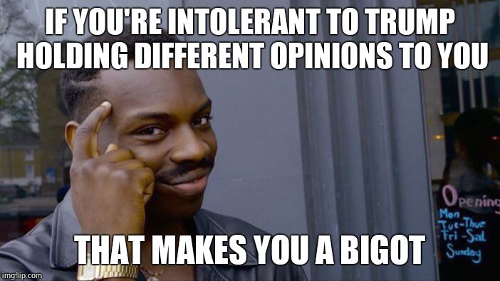 Roll Safe Think About It Meme | IF YOU'RE INTOLERANT TO TRUMP HOLDING DIFFERENT OPINIONS TO YOU THAT MAKES YOU A BIGOT | image tagged in memes,roll safe think about it | made w/ Imgflip meme maker