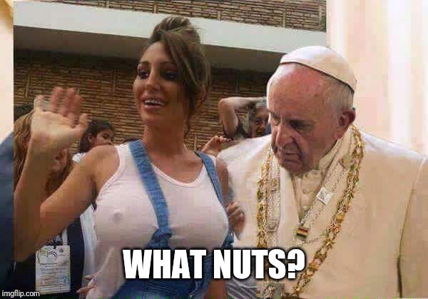 Pope Francis big tits | WHAT NUTS? | image tagged in pope francis big tits | made w/ Imgflip meme maker