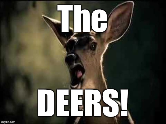 Deer Scream | The DEERS! | image tagged in deer scream | made w/ Imgflip meme maker