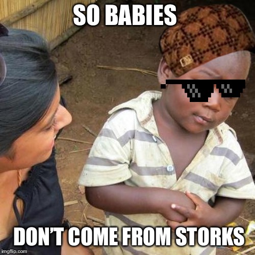 Third World Skeptical Kid Meme | SO BABIES; DON’T COME FROM STORKS | image tagged in memes,third world skeptical kid | made w/ Imgflip meme maker
