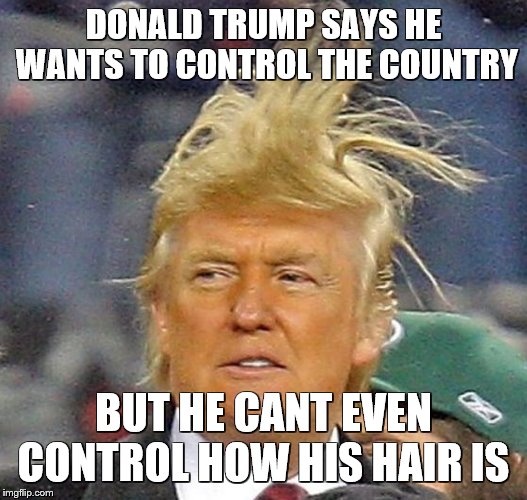 Can Even Control Shocking Head Of Hair | DONALD TRUMP SAYS HE WANTS TO CONTROL THE COUNTRY; BUT HE CANT EVEN CONTROL HOW HIS HAIR IS | image tagged in donald trump hair,messy,donald trump,country,control,bad hair day | made w/ Imgflip meme maker
