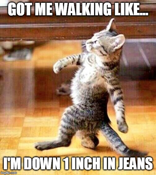 Cat Walking Away | GOT ME WALKING LIKE... I'M DOWN 1 INCH IN JEANS | image tagged in cat walking away | made w/ Imgflip meme maker