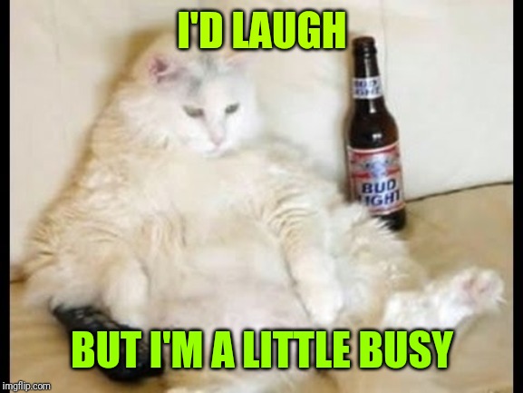 Cat watching TV with beer | I'D LAUGH BUT I'M A LITTLE BUSY | image tagged in cat watching tv with beer | made w/ Imgflip meme maker