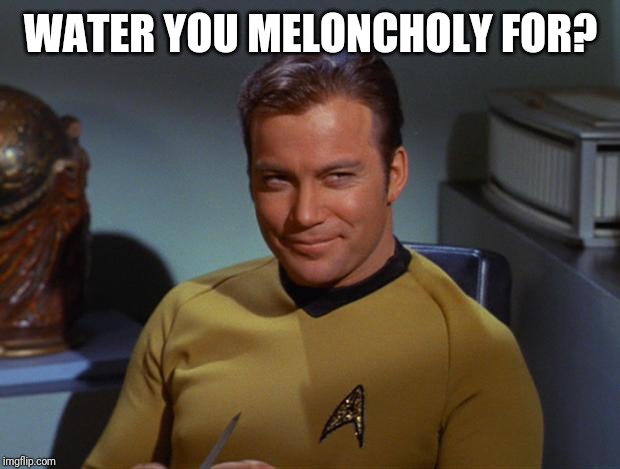 Kirk Smirk | WATER YOU MELONCHOLY FOR? | image tagged in kirk smirk | made w/ Imgflip meme maker