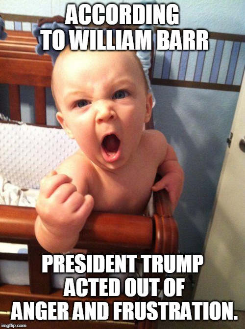 That's no excuse. | ACCORDING TO WILLIAM BARR; PRESIDENT TRUMP ACTED OUT OF ANGER AND FRUSTRATION. | image tagged in angry baby,trump,anger,frustration,william barr,infant | made w/ Imgflip meme maker