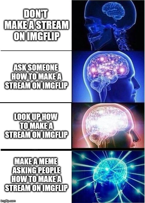 I'M STILL NEW PLEASE EXPLAIN | DON'T MAKE A STREAM ON IMGFLIP; ASK SOMEONE HOW TO MAKE A STREAM ON IMGFLIP; LOOK UP HOW TO MAKE A STREAM ON IMGFLIP; MAKE A MEME ASKING PEOPLE HOW TO MAKE A STREAM ON IMGFLIP | image tagged in memes,expanding brain,streams | made w/ Imgflip meme maker
