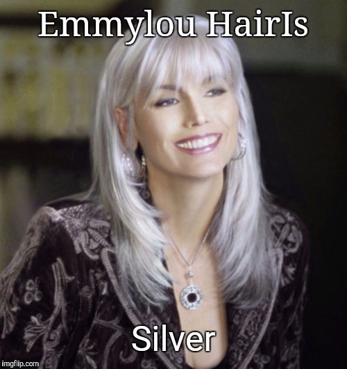 Emmylou Hair Is | Emmylou HairIs; Silver | image tagged in memes | made w/ Imgflip meme maker