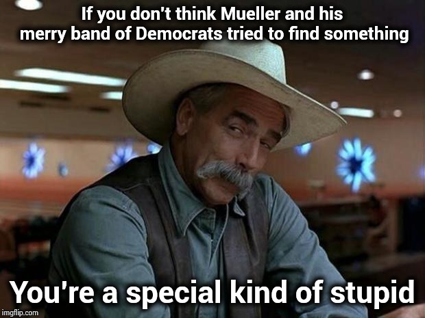 special kind of stupid | If you don't think Mueller and his merry band of Democrats tried to find something You're a special kind of stupid | image tagged in special kind of stupid | made w/ Imgflip meme maker