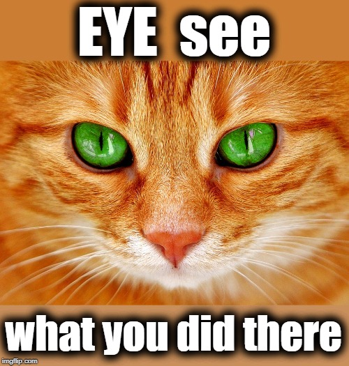 EYE  see what you did there | made w/ Imgflip meme maker