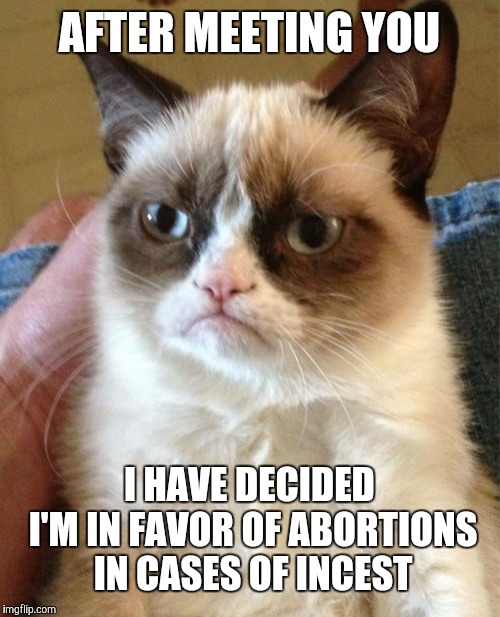 Grumpy Cat Meme | AFTER MEETING YOU; I HAVE DECIDED I'M IN FAVOR OF ABORTIONS IN CASES OF INCEST | image tagged in memes,grumpy cat | made w/ Imgflip meme maker