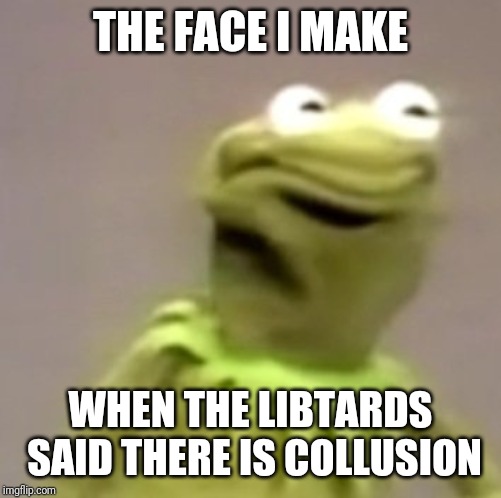 Kermit Weird Face |  THE FACE I MAKE; WHEN THE LIBTARDS SAID THERE IS COLLUSION | image tagged in kermit weird face | made w/ Imgflip meme maker