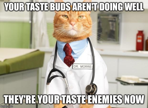 This Cat Is Clever | YOUR TASTE BUDS AREN'T DOING WELL; THEY'RE YOUR TASTE ENEMIES NOW | image tagged in cat doctor | made w/ Imgflip meme maker