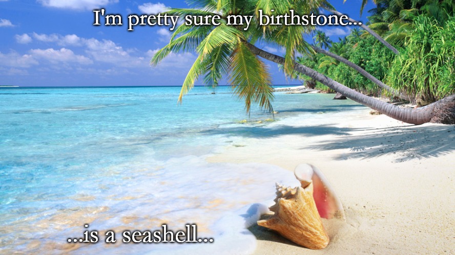 Conch-shell-beach | I'm pretty sure my birthstone... ...is a seashell... | image tagged in conch-shell-beach | made w/ Imgflip meme maker