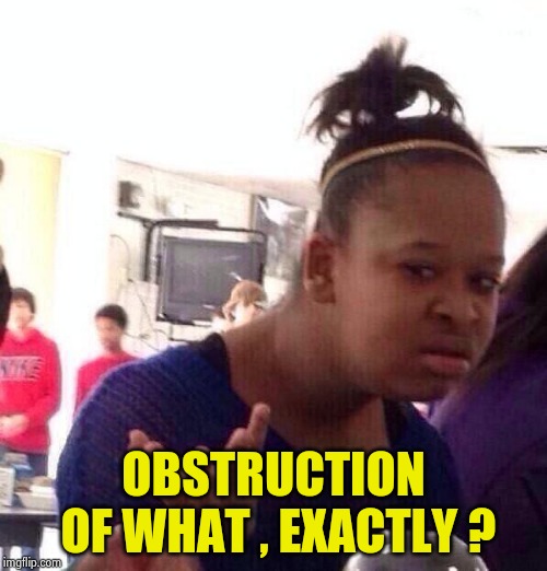 Black Girl Wat Meme | OBSTRUCTION OF WHAT , EXACTLY ? | image tagged in memes,black girl wat | made w/ Imgflip meme maker
