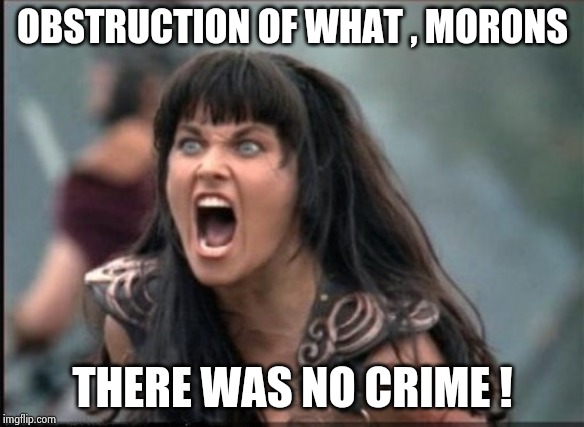 Screaming Woman | OBSTRUCTION OF WHAT , MORONS THERE WAS NO CRIME ! | image tagged in screaming woman | made w/ Imgflip meme maker