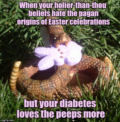 Snake eats peep | When your holier-than-thou beliefs hate the pagan origins of Easter celebrations; but your diabetes loves the peeps more | image tagged in snake eats peep,easter,hypocrisy,humor,religious fanatic | made w/ Imgflip meme maker