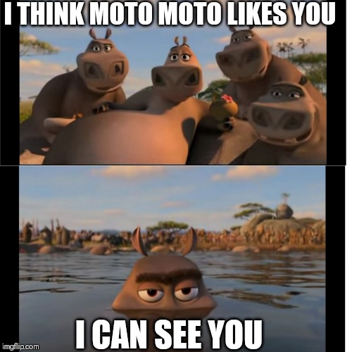 Moto Moto | I THINK MOTO MOTO LIKES YOU; I CAN SEE YOU | image tagged in moto moto | made w/ Imgflip meme maker
