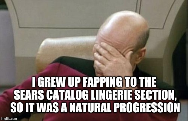 Captain Picard Facepalm Meme | I GREW UP FAPPING TO THE SEARS CATALOG LINGERIE SECTION, SO IT WAS A NATURAL PROGRESSION | image tagged in memes,captain picard facepalm | made w/ Imgflip meme maker