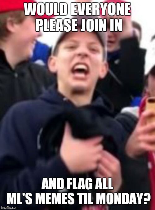 Sneering MAGA Kid | WOULD EVERYONE PLEASE JOIN IN AND FLAG ALL ML'S MEMES TIL MONDAY? | image tagged in sneering maga kid | made w/ Imgflip meme maker