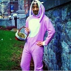High Quality Snoop Dogg in a Bunny Suit Blank Meme Template