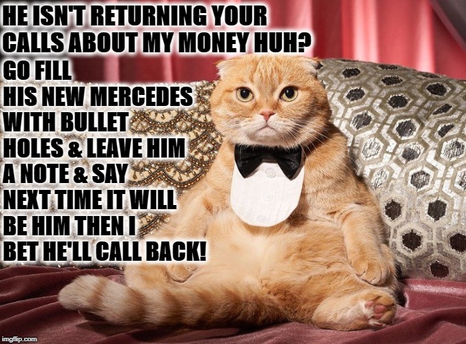 MAFIA CAT | HE ISN'T RETURNING YOUR CALLS ABOUT MY MONEY HUH? GO FILL HIS NEW MERCEDES WITH BULLET HOLES & LEAVE HIM A NOTE & SAY NEXT TIME IT WILL BE HIM THEN I BET HE'LL CALL BACK! | image tagged in mafia cat | made w/ Imgflip meme maker