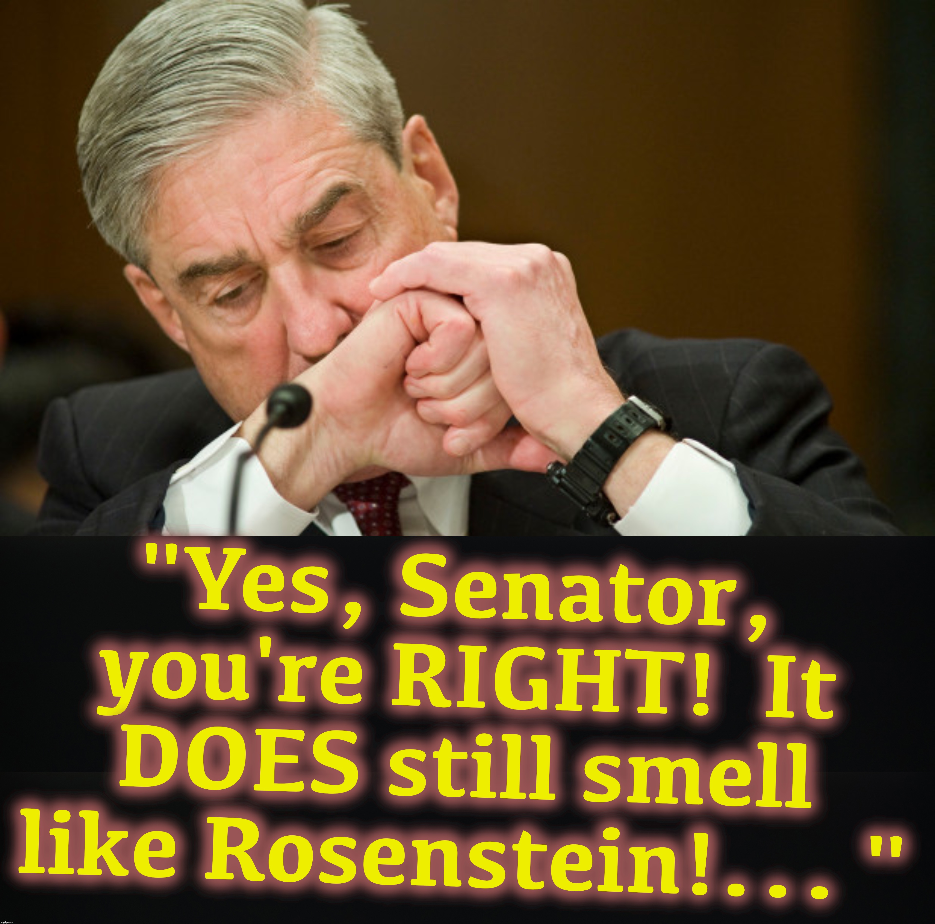 "Yes, Senator, you're RIGHT!  It DOES still smell like Rosenstein!... " | image tagged in rod rosenstein,robert mueller | made w/ Imgflip meme maker