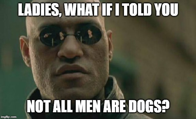 Matrix Morpheus Meme | LADIES, WHAT IF I TOLD YOU; NOT ALL MEN ARE DOGS? | image tagged in memes,matrix morpheus | made w/ Imgflip meme maker
