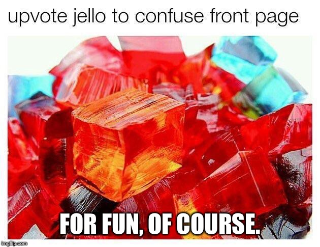FOR FUN, OF COURSE. | image tagged in jello,memes,upvotes | made w/ Imgflip meme maker
