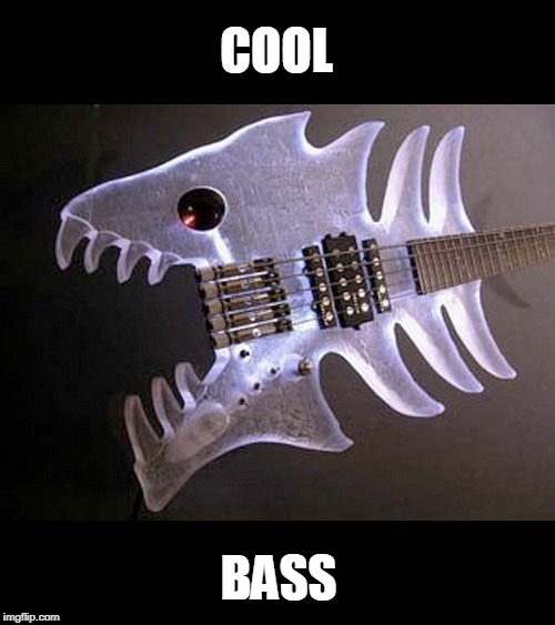 5 string | COOL; BASS | image tagged in bass | made w/ Imgflip meme maker