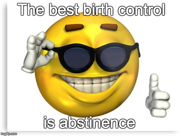 The best birth control; is abstinence | image tagged in sunglasses | made w/ Imgflip meme maker