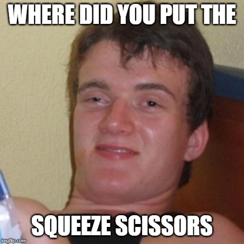 High/Drunk guy | WHERE DID YOU PUT THE; SQUEEZE SCISSORS | image tagged in high/drunk guy | made w/ Imgflip meme maker