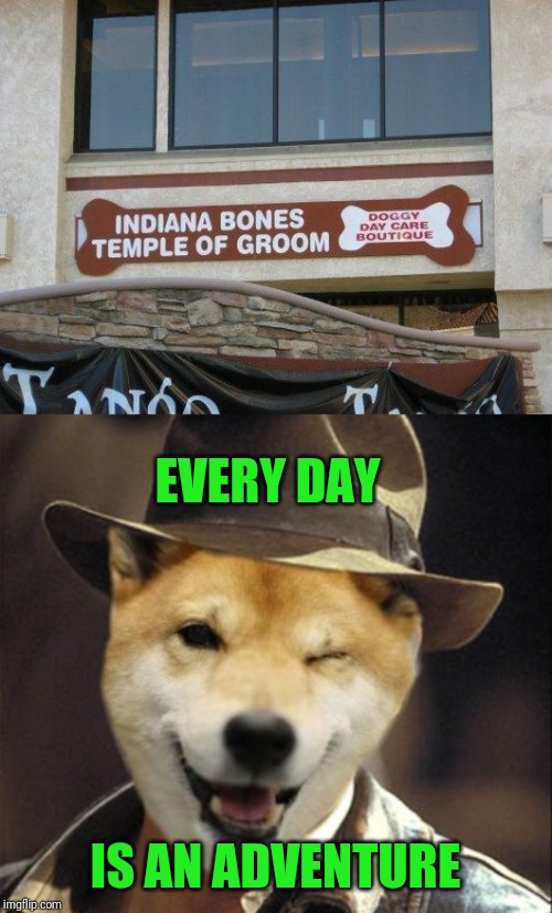 Stupid Signs Week (April 17-23) meets Pun Weekend (April 19-21) | EVERY DAY; IS AN ADVENTURE | image tagged in memes,bad pun dog,pun weekend,stupid signs week,lordcheesus,daboilsmeavery | made w/ Imgflip meme maker