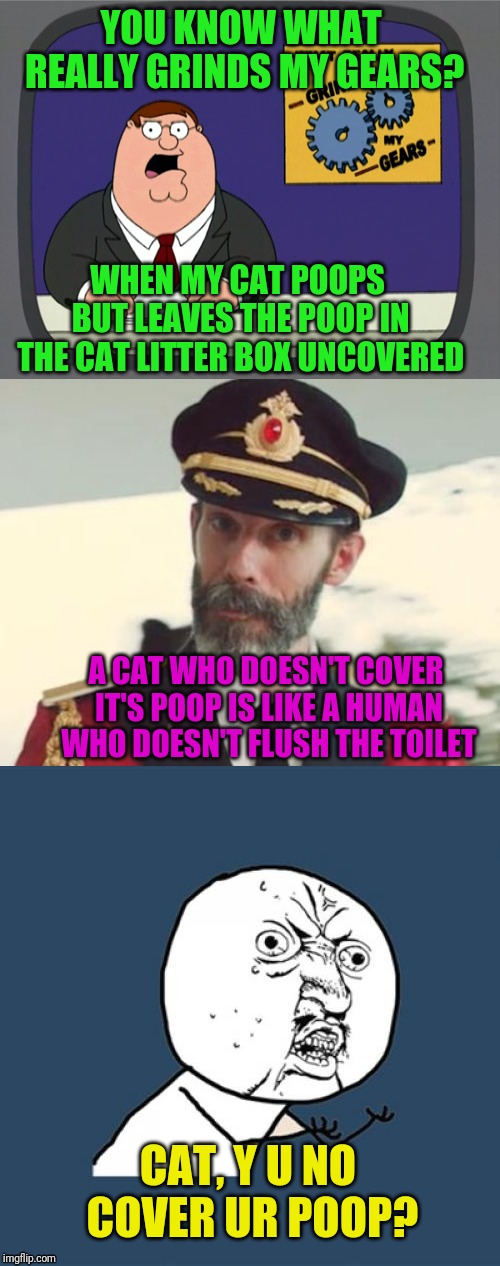 That smell is horrible | YOU KNOW WHAT REALLY GRINDS MY GEARS? WHEN MY CAT POOPS BUT LEAVES THE POOP IN THE CAT LITTER BOX UNCOVERED; A CAT WHO DOESN'T COVER IT'S POOP IS LIKE A HUMAN WHO DOESN'T FLUSH THE TOILET; CAT, Y U NO COVER UR POOP? | image tagged in memes,y u no,peter griffin news,captain obvious | made w/ Imgflip meme maker