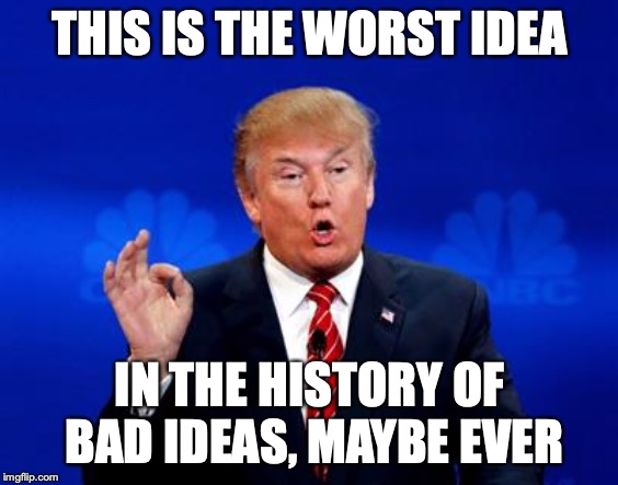 Trump Trade Deal | THIS IS THE WORST IDEA; IN THE HISTORY OF BAD
IDEAS, MAYBE EVER | image tagged in trump trade deal | made w/ Imgflip meme maker