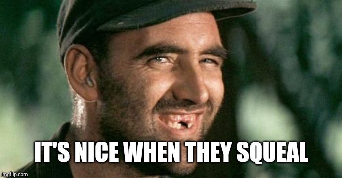 Deliverance HIllbilly | IT'S NICE WHEN THEY SQUEAL | image tagged in deliverance hillbilly | made w/ Imgflip meme maker